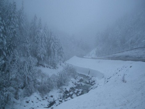 Πώς η Μηλιά, ένα ορεινό χωριό στην Πίνδο, κατάφερε να μηδενίσει την ανεργία [εικόνες] | iefimerida.gr 3