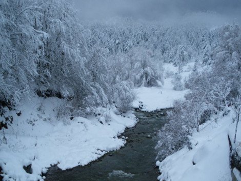Πώς η Μηλιά, ένα ορεινό χωριό στην Πίνδο, κατάφερε να μηδενίσει την ανεργία [εικόνες] | iefimerida.gr 4