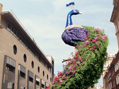 Δέκα εξωφρενικά δώρα για εκατομμυριούχους -Για εκείνους που τα έχουν όλα [εικόνες] | iefimerida.gr 2