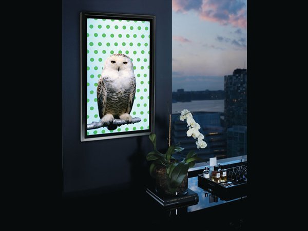 Δέκα εξωφρενικά δώρα για εκατομμυριούχους -Για εκείνους που τα έχουν όλα [εικόνες] | iefimerida.gr 3