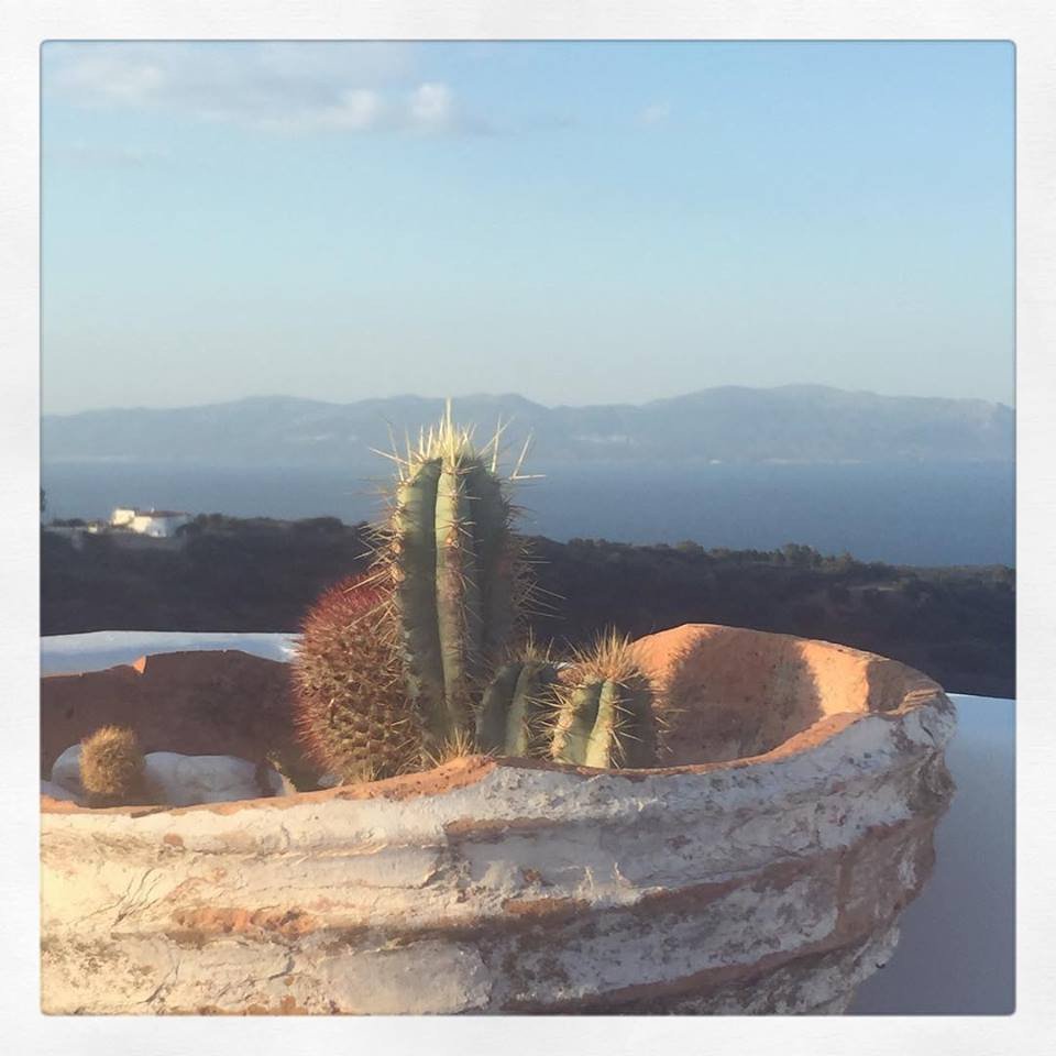 Η Μιράντα Κερ σε γάμο γκέι φίλων της στα Κύθηρα ποστάρει φωτογραφίες [εικόνες] | iefimerida.gr 4