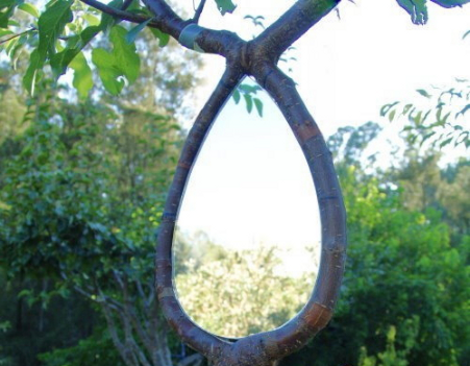 Πώς να μετατρέψετε ένα δέντρο σε καρέκλα χωρίς να το... πετσοκόψετε [εικόνες] | iefimerida.gr 3