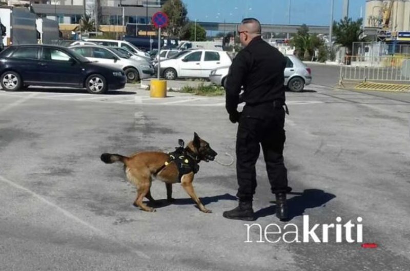 Η Μίσα σε παλαιότερη αποστολή / Φωτογραφία: NeaKriti