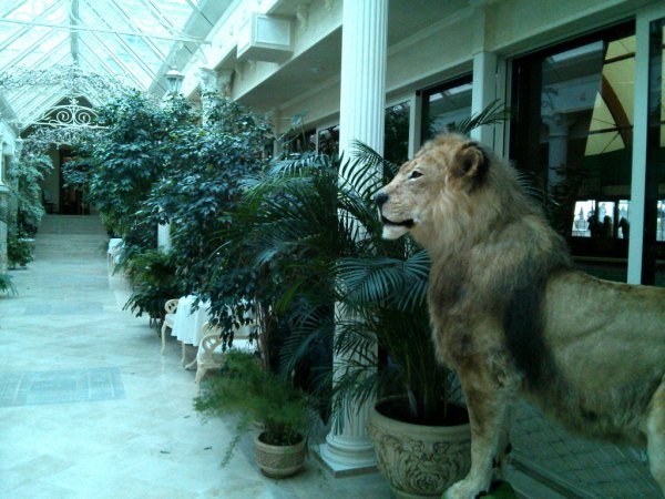 Αυτή είναι η κρυφή ερωμένη του Γιανουκόβιτς -Επί χρόνια κρατούσε κρυφό το δεσμό του με την όμορφη ξανθιά [εικόνες] | iefimerida.gr 12