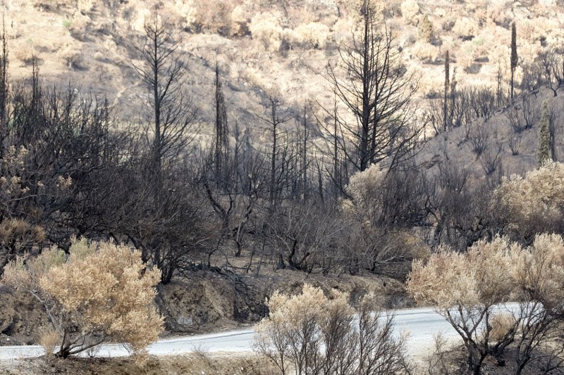 Μητσοτάκης: Θα μειώσω στο μισό το τέλος της ΕΡΤ -Δέσμευση για μείωση φορολογίας [εικόνες&βίντεο] | iefimerida.gr 3