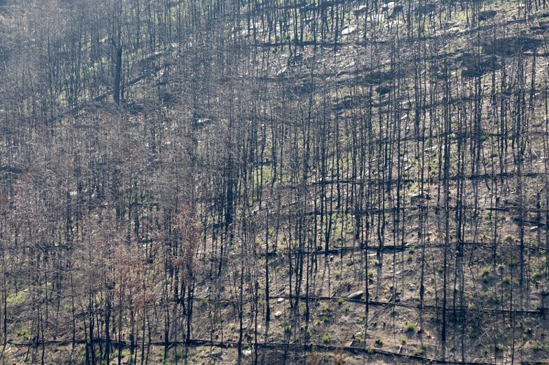 Ο Μητσοτάκης σε περιοδεία -Οδοιπορικό στην Ελλάδα των προβλημάτων [εικόνες] | iefimerida.gr 10