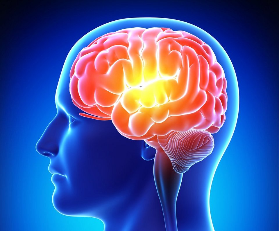 Αρχαίο κείμενο 2.000 ετών αποκαλύπτει το μυστικό της αιώνιας μνήμης [εικόνες]  | iefimerida.gr 0