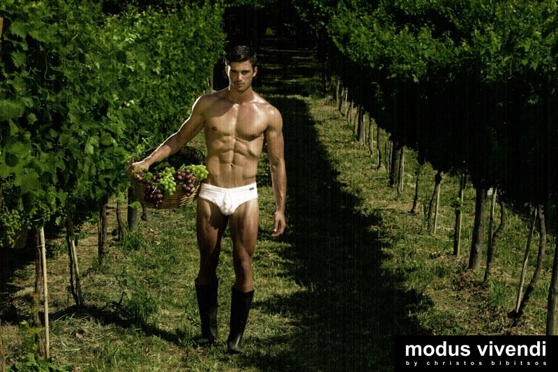 Από τη Θεσσαλονίκη με έμπνευση: Αυτή είναι η ελληνική εταιρεία εσωρούχων που κάνει «τρελές» πωλήσεις στο εξωτερικό [εικόνες] | iefimerida.gr 3