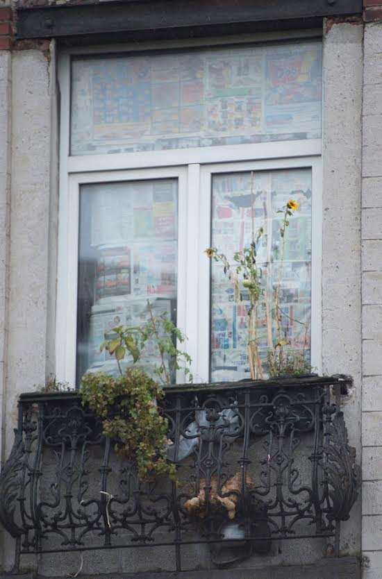 Το ύποπτο διαμέρισμα που έγινε η έφοδος στις Βρυξέλλες [εικόνες] | iefimerida.gr 0