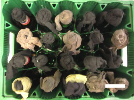 Πήγαν στο Χολαργό να δουν αγώνα μπάσκετ με μολότοφ και γκλομπ [εικόνες] | iefimerida.gr 1