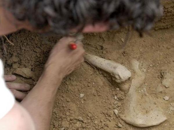 Λιλιπούτειοι αρχαιολόγοι: μαθητές στη Χιλή ανακάλυψαν μούμια 7.000 ετών | iefimerida.gr 0