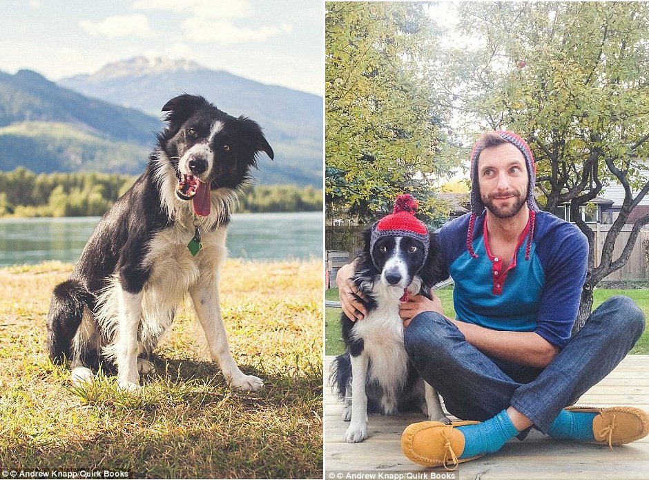 Πού κρύβεται ο Μόμο; Φωτογράφος έκανε παιδικό βιβλίο με το σκύλο του [εικόνες] | iefimerida.gr 1