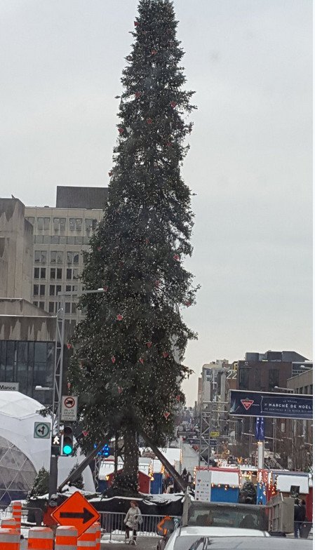 Το χριστουγεννιάτικο δέντρο του Μόντρεαλ έχει γίνει viral επειδή είναι... άσχημο [εικόνες] | iefimerida.gr 2