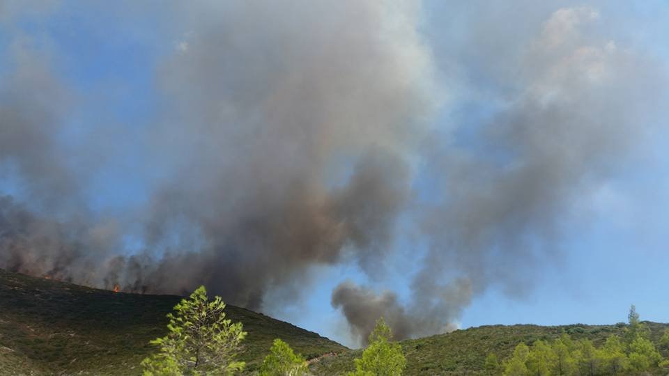 Υπό πλήρη έλεγχο η φωτιά στα Λιρά Λακωνίας [εικόνες] | iefimerida.gr 1