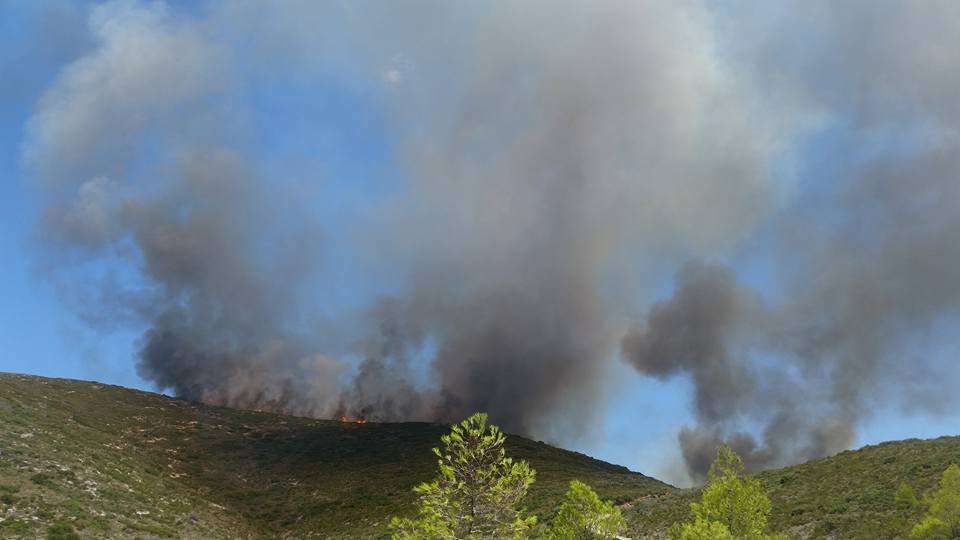 Υπό πλήρη έλεγχο η φωτιά στα Λιρά Λακωνίας [εικόνες] | iefimerida.gr 2