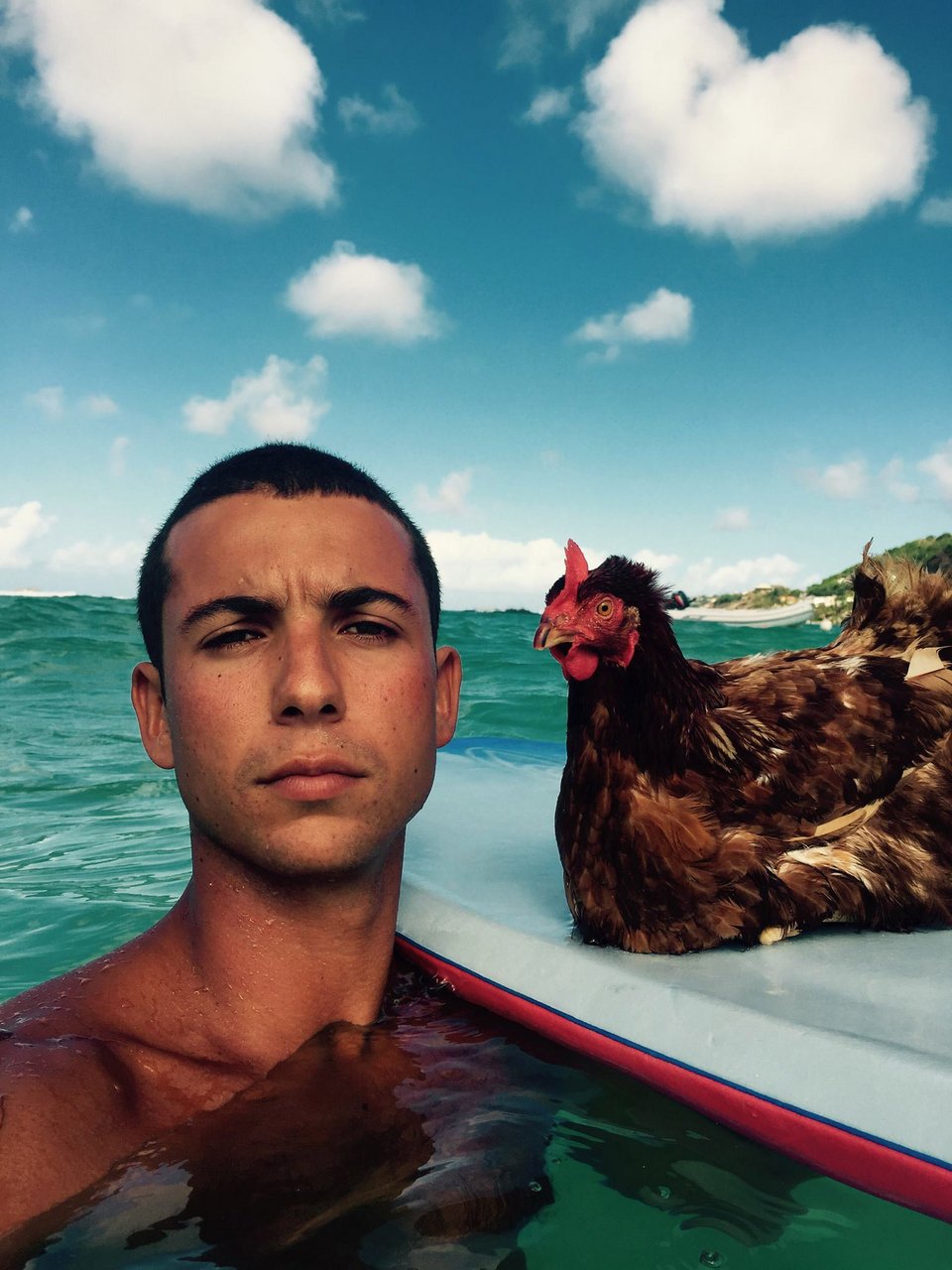 Βγήκε στη στεριά ο εξερευνητής με την κότα Μονίκ [εικόνες] | iefimerida.gr 7