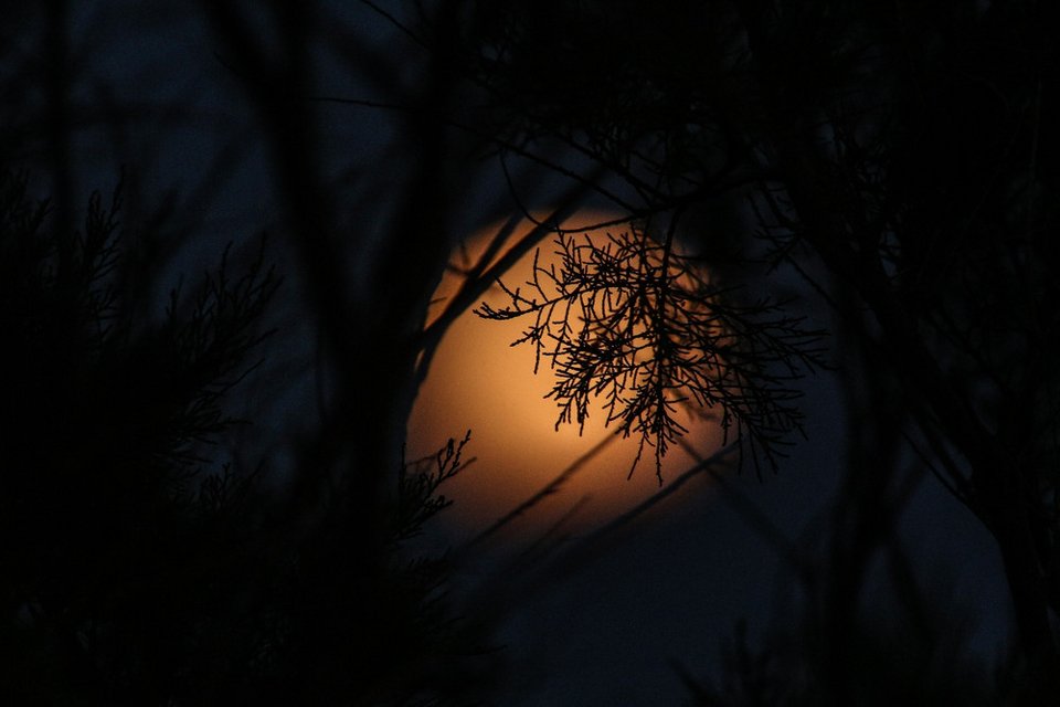 Μαγεία: Η αυγουστιάτικη πανσέληνος πάνω από την Ελλάδα -Και μερική έκλειψη [εικόνες] | iefimerida.gr 3