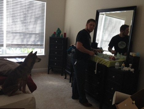 Η ιστορία που «έλιωσε» το Ιντερνετ: Σκύλος σε ρόλο φύλακα-άγγελου νεογέννητου -Κοιμάται μαζί του και δεν το αφήνει στιγμή από τα μάτια του [εικόνες] | iefimerida.gr 8