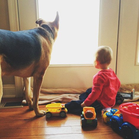 Η ιστορία αγάπης και σκανταλιάς που έλιωσε το Ιντερνετ -Το μωρό που έχει γίνει αχώριστο με τον τεράστιο σκύλο του [εικόνες] | iefimerida.gr 9