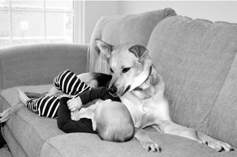 Η ιστορία αγάπης και σκανταλιάς που έλιωσε το Ιντερνετ -Το μωρό που έχει γίνει αχώριστο με τον τεράστιο σκύλο του [εικόνες] | iefimerida.gr 10