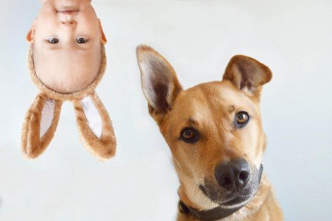 Η ιστορία αγάπης και σκανταλιάς που έλιωσε το Ιντερνετ -Το μωρό που έχει γίνει αχώριστο με τον τεράστιο σκύλο του [εικόνες] | iefimerida.gr 12