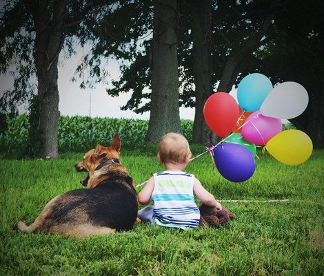 Η ιστορία αγάπης και σκανταλιάς που έλιωσε το Ιντερνετ -Το μωρό που έχει γίνει αχώριστο με τον τεράστιο σκύλο του [εικόνες] | iefimerida.gr 15