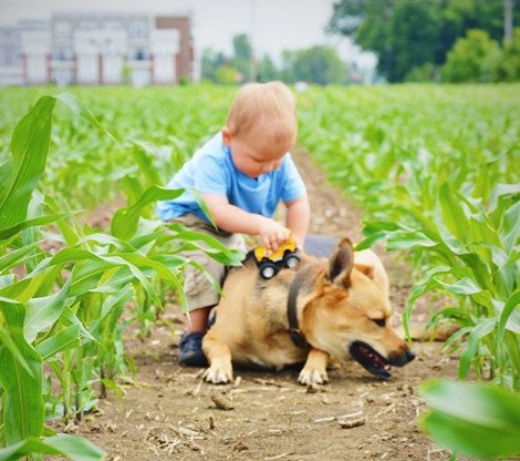 Η ιστορία αγάπης και σκανταλιάς που έλιωσε το Ιντερνετ -Το μωρό που έχει γίνει αχώριστο με τον τεράστιο σκύλο του [εικόνες] | iefimerida.gr 17