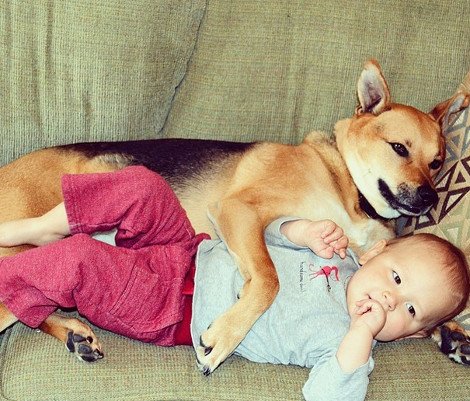 Η ιστορία αγάπης και σκανταλιάς που έλιωσε το Ιντερνετ -Το μωρό που έχει γίνει αχώριστο με τον τεράστιο σκύλο του [εικόνες] | iefimerida.gr 18