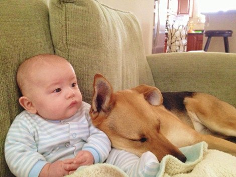 Η ιστορία αγάπης και σκανταλιάς που έλιωσε το Ιντερνετ -Το μωρό που έχει γίνει αχώριστο με τον τεράστιο σκύλο του [εικόνες] | iefimerida.gr 0