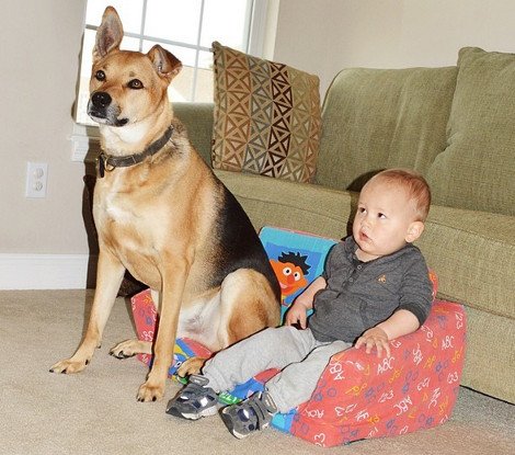 Η ιστορία αγάπης και σκανταλιάς που έλιωσε το Ιντερνετ -Το μωρό που έχει γίνει αχώριστο με τον τεράστιο σκύλο του [εικόνες] | iefimerida.gr 19