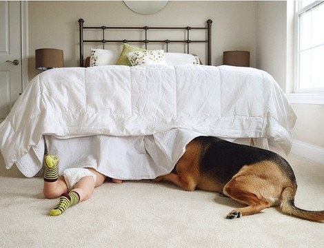 Η ιστορία αγάπης και σκανταλιάς που έλιωσε το Ιντερνετ -Το μωρό που έχει γίνει αχώριστο με τον τεράστιο σκύλο του [εικόνες] | iefimerida.gr 22