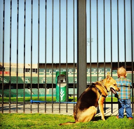 Η ιστορία αγάπης και σκανταλιάς που έλιωσε το Ιντερνετ -Το μωρό που έχει γίνει αχώριστο με τον τεράστιο σκύλο του [εικόνες] | iefimerida.gr 24