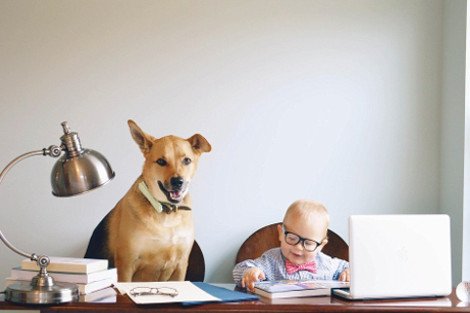 Η ιστορία αγάπης και σκανταλιάς που έλιωσε το Ιντερνετ -Το μωρό που έχει γίνει αχώριστο με τον τεράστιο σκύλο του [εικόνες] | iefimerida.gr 1