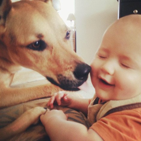 Η ιστορία αγάπης και σκανταλιάς που έλιωσε το Ιντερνετ -Το μωρό που έχει γίνει αχώριστο με τον τεράστιο σκύλο του [εικόνες] | iefimerida.gr 2