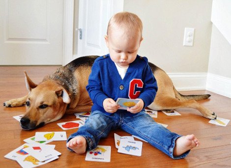 Η ιστορία αγάπης και σκανταλιάς που έλιωσε το Ιντερνετ -Το μωρό που έχει γίνει αχώριστο με τον τεράστιο σκύλο του [εικόνες] | iefimerida.gr 3