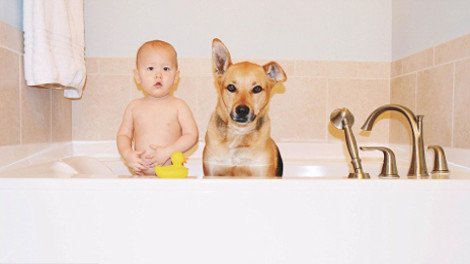 Η ιστορία αγάπης και σκανταλιάς που έλιωσε το Ιντερνετ -Το μωρό που έχει γίνει αχώριστο με τον τεράστιο σκύλο του [εικόνες] | iefimerida.gr 5