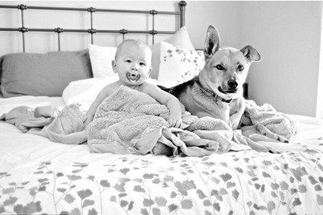 Η ιστορία αγάπης και σκανταλιάς που έλιωσε το Ιντερνετ -Το μωρό που έχει γίνει αχώριστο με τον τεράστιο σκύλο του [εικόνες] | iefimerida.gr 6