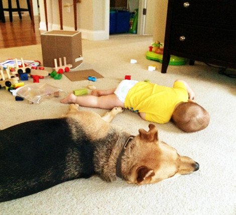 Η ιστορία αγάπης και σκανταλιάς που έλιωσε το Ιντερνετ -Το μωρό που έχει γίνει αχώριστο με τον τεράστιο σκύλο του [εικόνες] | iefimerida.gr 7