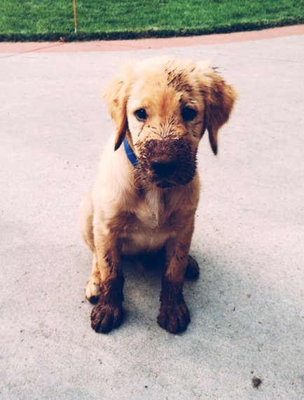 Μωρομάντιλα, 10 άλλες χρήσεις -Καμία σχέση με μωρά [εικόνες] | iefimerida.gr 1