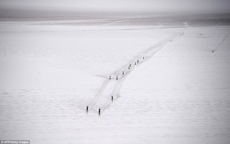 Ο πνιγμός του μικρού Αϊλάν και το φουστάνι της Ριάνα -Οι δυο όψεις του κόσμου το 2015 [εικόνες] | iefimerida.gr 15