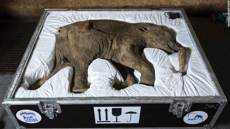 Αυτά είναι τα 20 πιο δημοφιλή μουσεία στον κόσμο, με τους περισσότερους επισκέπτες ετησίως [εικόνες] | iefimerida.gr 8