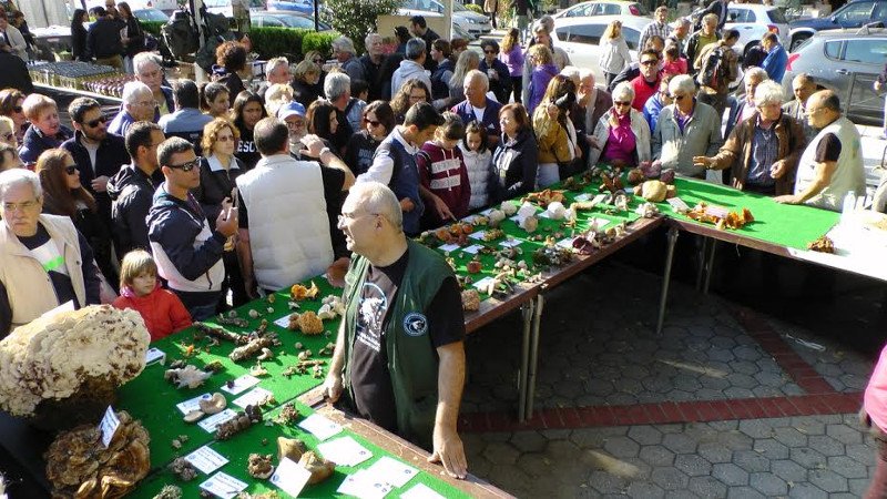 Γιορτή Μανιταριού στην Καλαμπάκα -26 με 28 Αυγούστου | iefimerida.gr 0