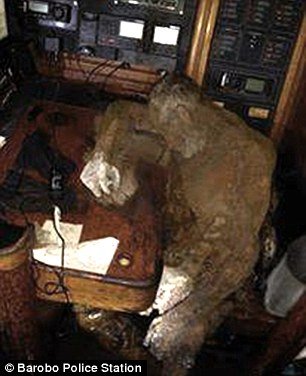 Λύθηκε το μυστήριο με τη μούμια-καπετάνιο [εικόνες] | iefimerida.gr 0