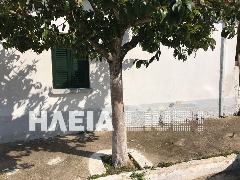 Σοκ στην Ηλεία: Κυνηγούσε με μαχαίρι τυφλή γυναίκα και την κόρη της για να τις βιάσει [εικόνες] | iefimerida.gr 0