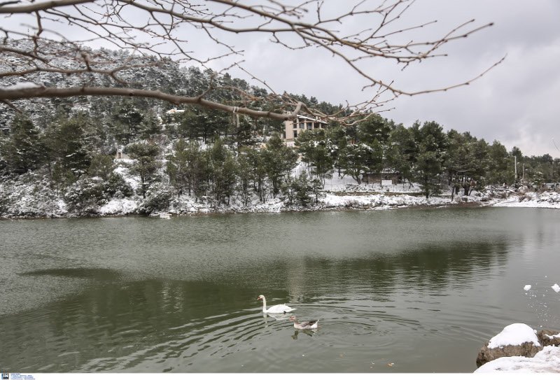 Ενα διαφορετικό άλμπουμ γάμου 2 νεαρών Αθηναίων -Με νυφικό και γαμπριάτικο στο χιονιά [εικόνες] | iefimerida.gr 9