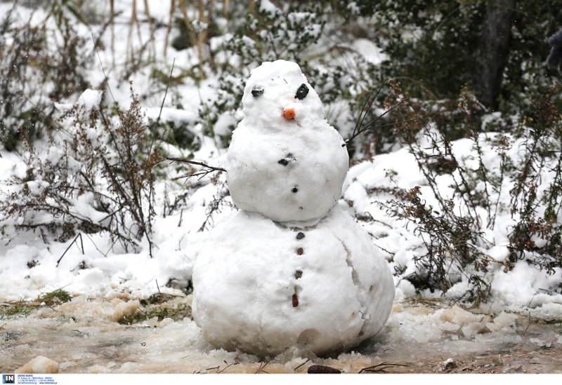 Ενα διαφορετικό άλμπουμ γάμου 2 νεαρών Αθηναίων -Με νυφικό και γαμπριάτικο στο χιονιά [εικόνες] | iefimerida.gr 10