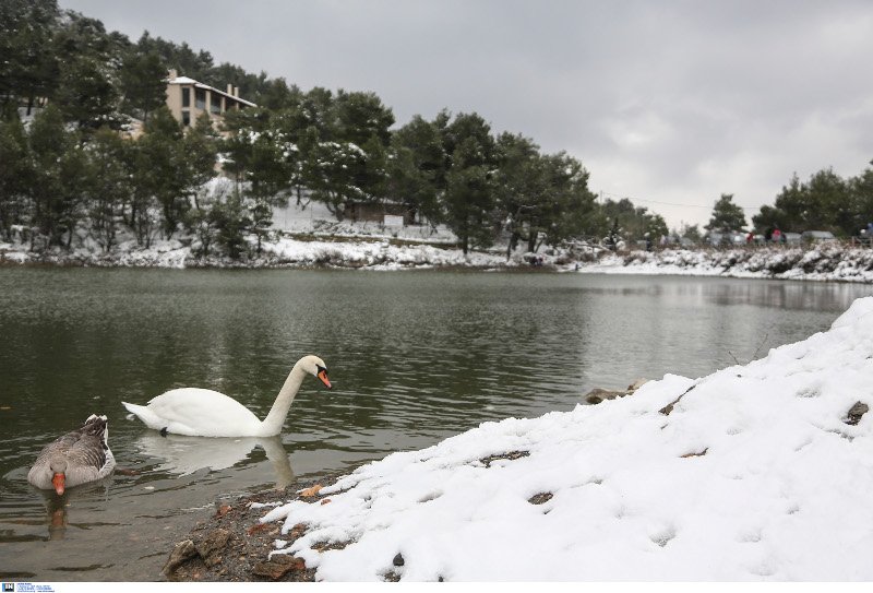 Ενα διαφορετικό άλμπουμ γάμου 2 νεαρών Αθηναίων -Με νυφικό και γαμπριάτικο στο χιονιά [εικόνες] | iefimerida.gr 8