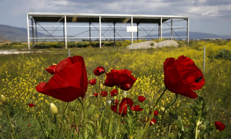 Guardian: Φωτογράφος της χρονιάς ο Γιάννης Μπεχράκης -Αυτές είναι οι καλύτερες φωτογραφίες που έβγαλε [εικόνες] | iefimerida.gr 26