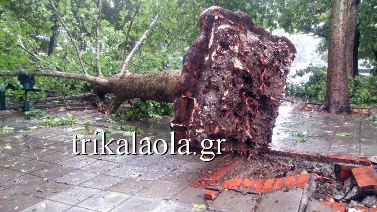Μπουρίνι σάρωσε τα Τρίκαλα -Ξερίζωσε δέντρα, έκανε ποτάμια τους δρόμους [εικόνες & βίντεο] | iefimerida.gr 3