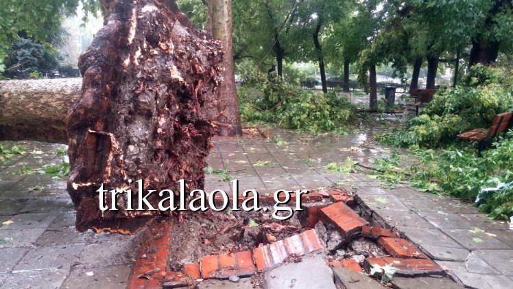 Μπουρίνι σάρωσε τα Τρίκαλα -Ξερίζωσε δέντρα, έκανε ποτάμια τους δρόμους [εικόνες & βίντεο] | iefimerida.gr 4